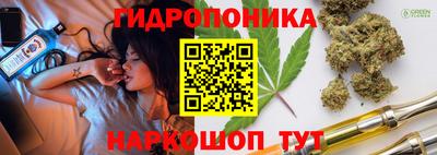 гидра Тверь
