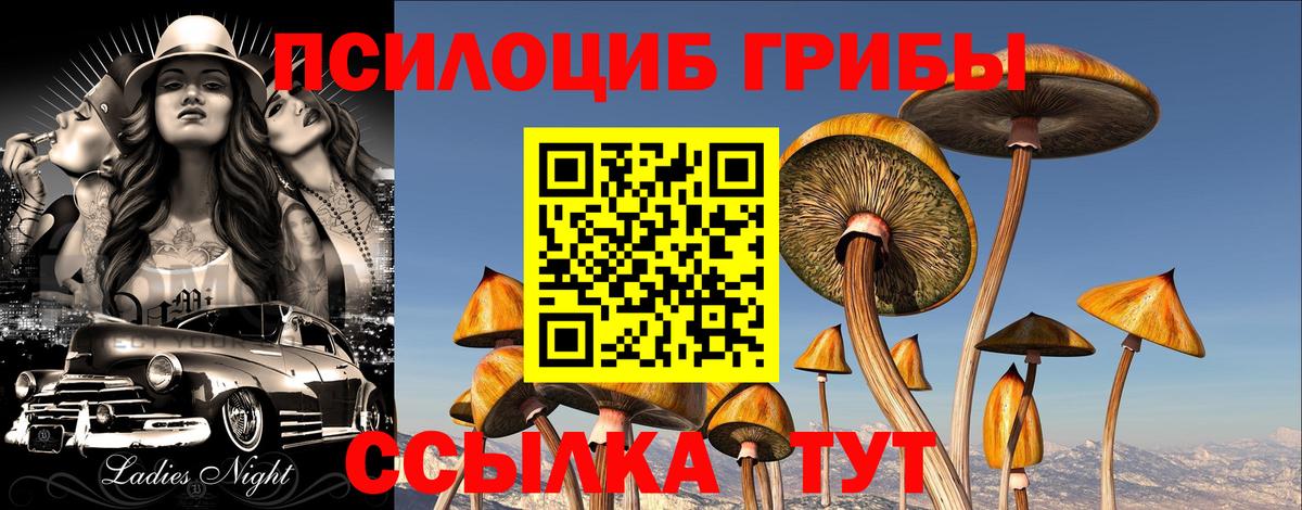 Алушта  Галлюциногенные грибы мицелий  Вход с VPN  Псилоцибиновые грибы прущие грибы 