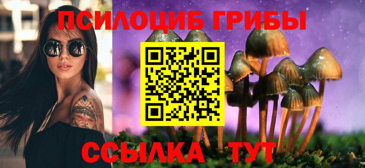 Псилоцибиновые грибы ЛСД Алушта